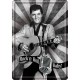 Elvis Presley, Rock'n Roll Baby Blechschild 20x30
