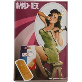 Band -Tex Blechschild  20x30